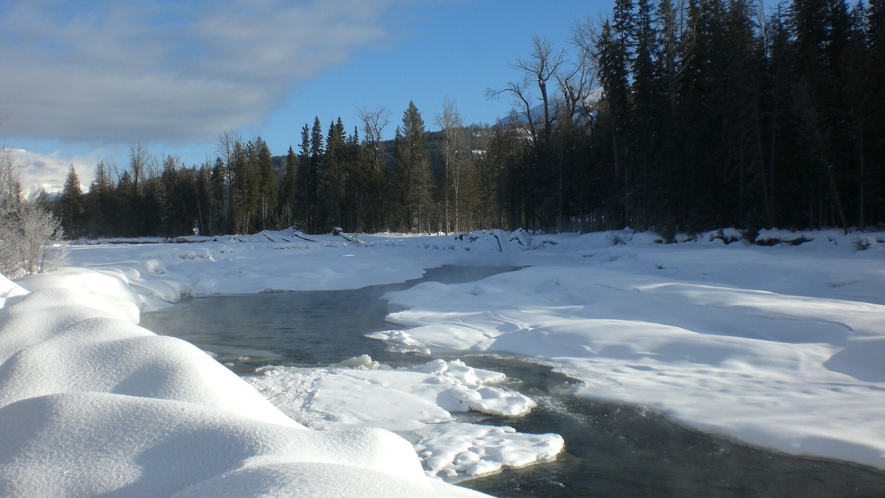 Photo of Others in East Kootenay