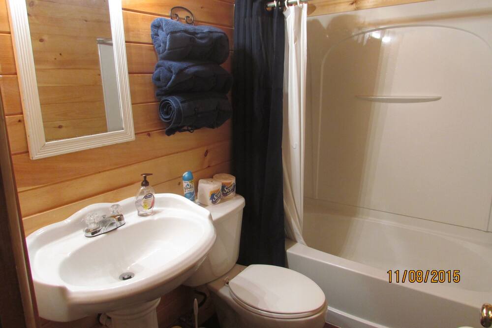 Photo of Bathroom in Bartlett