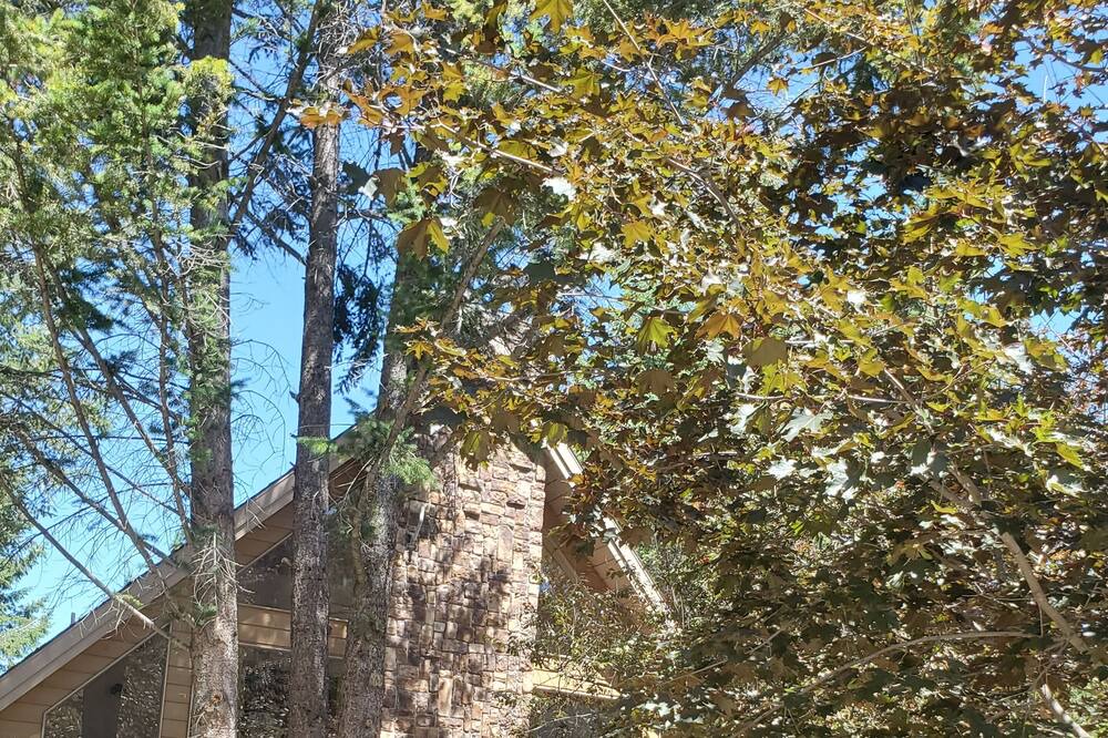Photo of Outdoor in Windermere