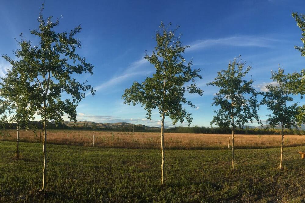 Photo of Outdoor in Whitehorse