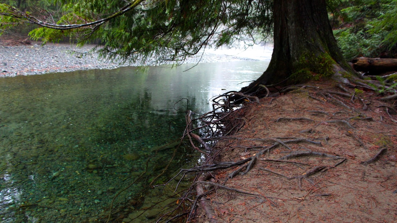 Photo of Outdoor in Regional District of Nanaimo
