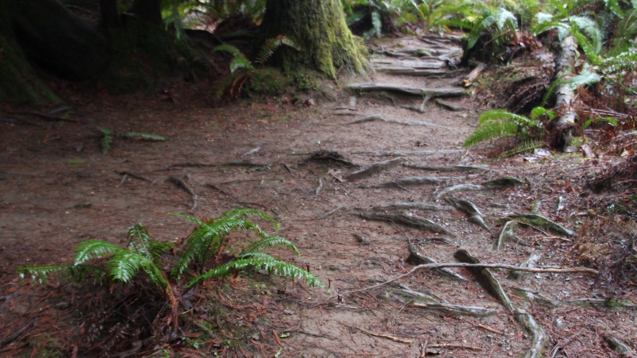 Photo of Outdoor in Regional District of Nanaimo