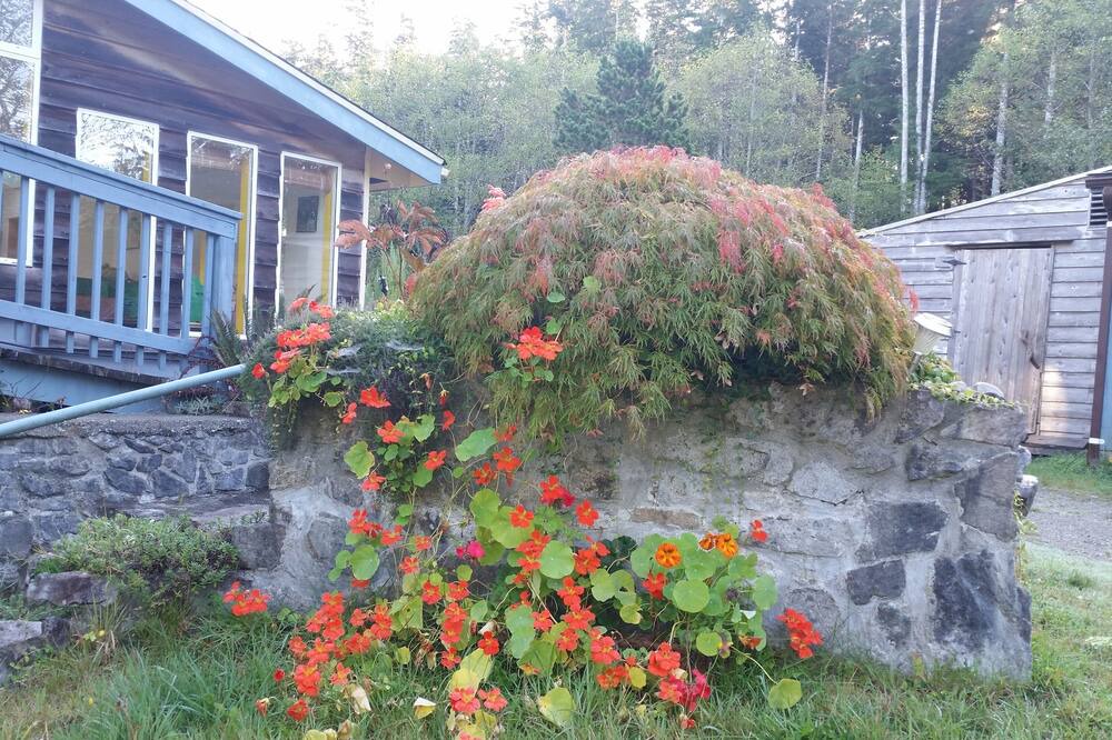 Photo of Others in Bamfield
