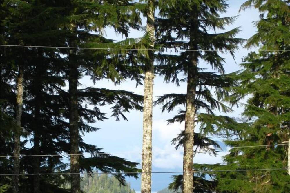 Photo of Others in Bamfield
