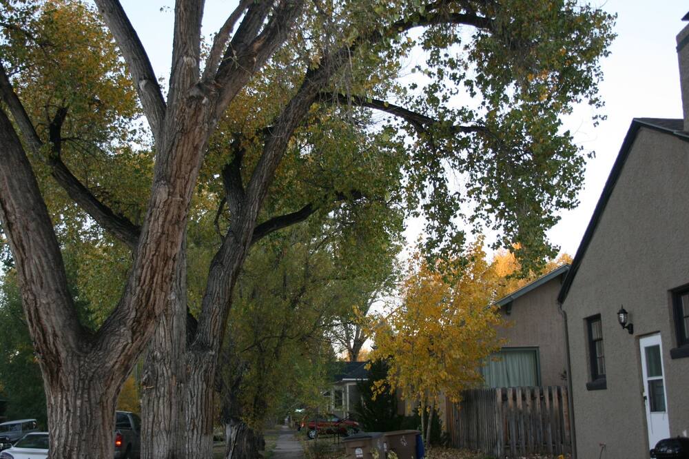Photo of Others in Laramie