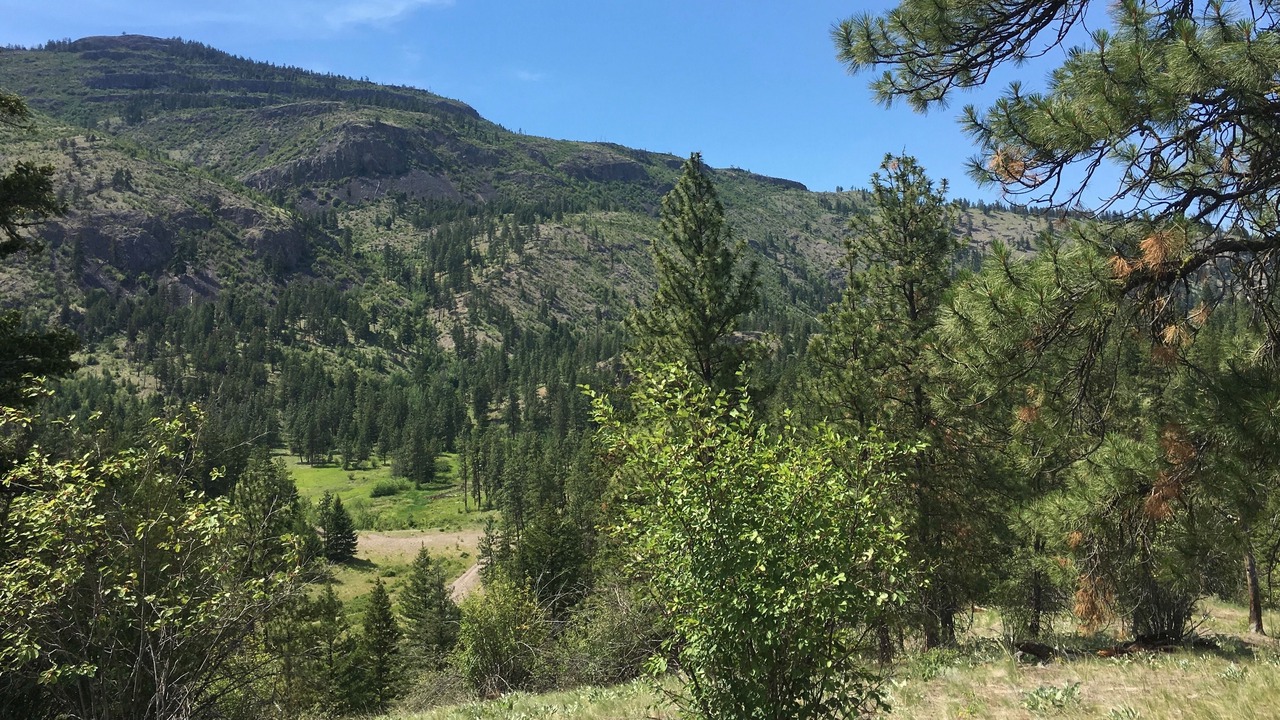 Photo of Others in Okanagan-Similkameen