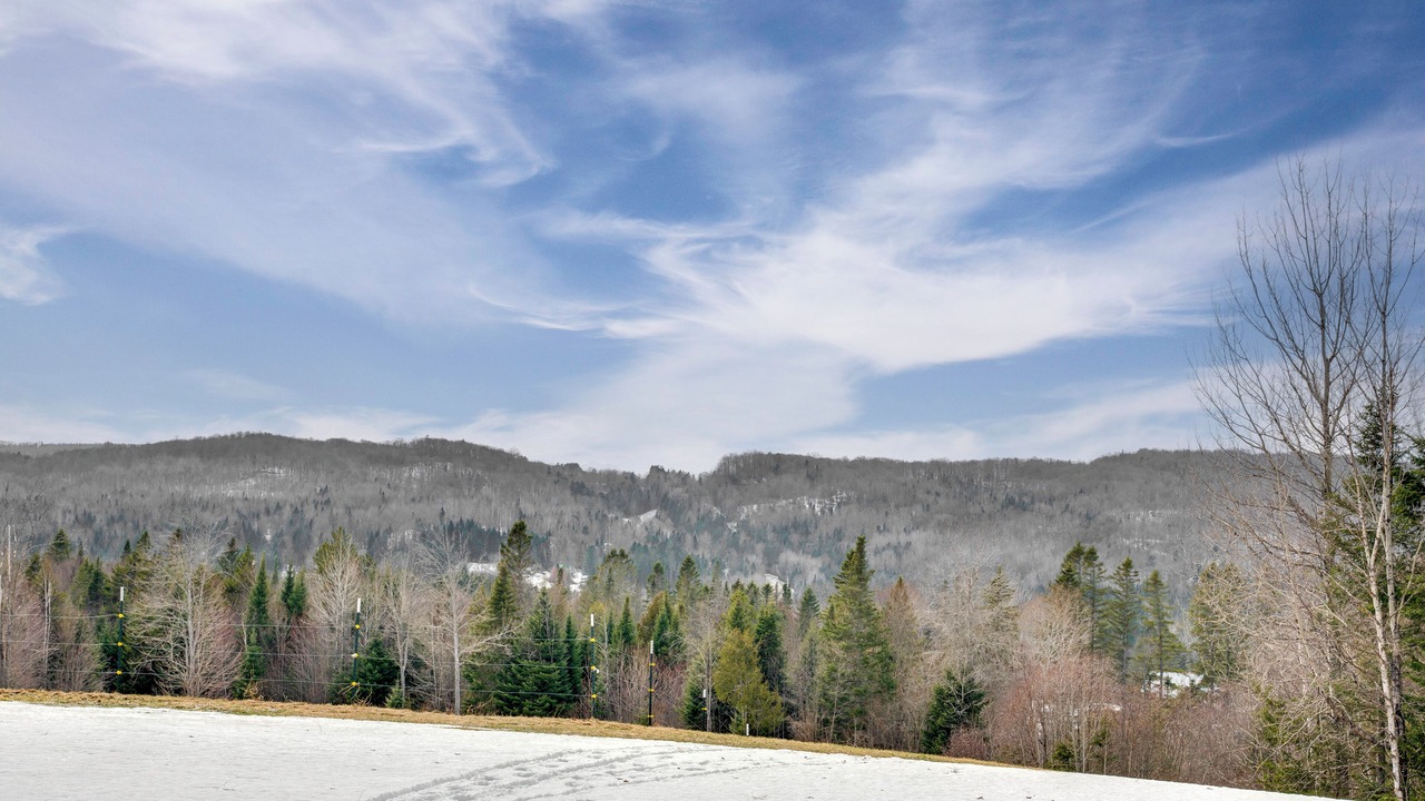 Photo of Others in Walden