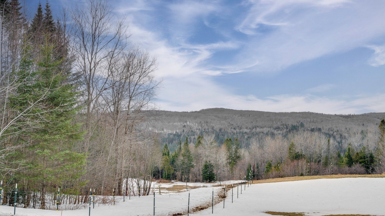 Photo of Others in Walden