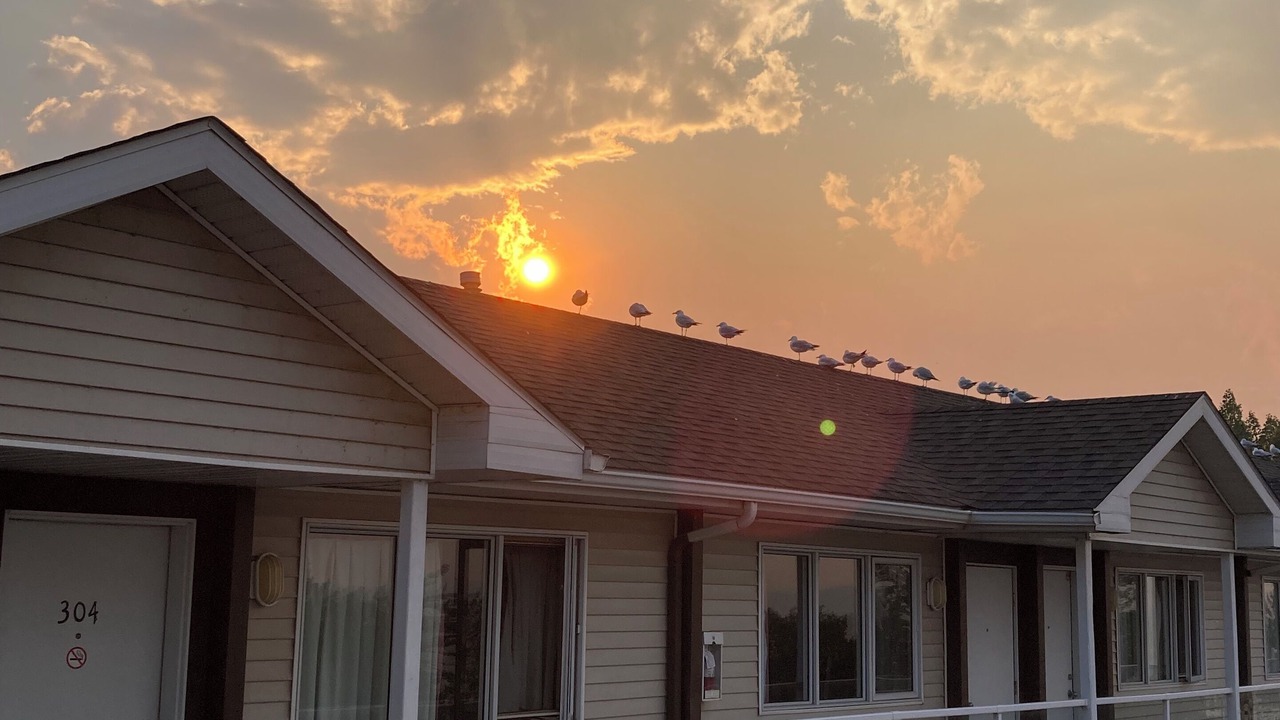 Photo of Outdoor in Sylvan Lake