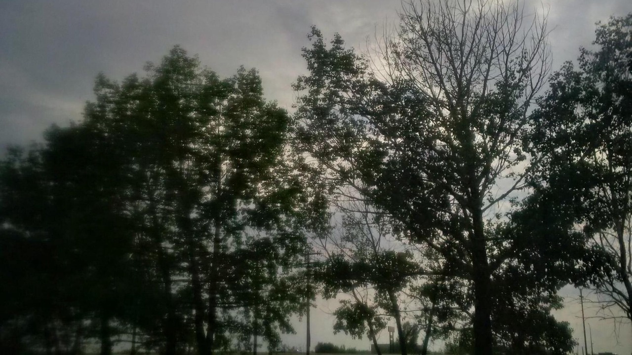 Photo of Outdoor in Saskatoon