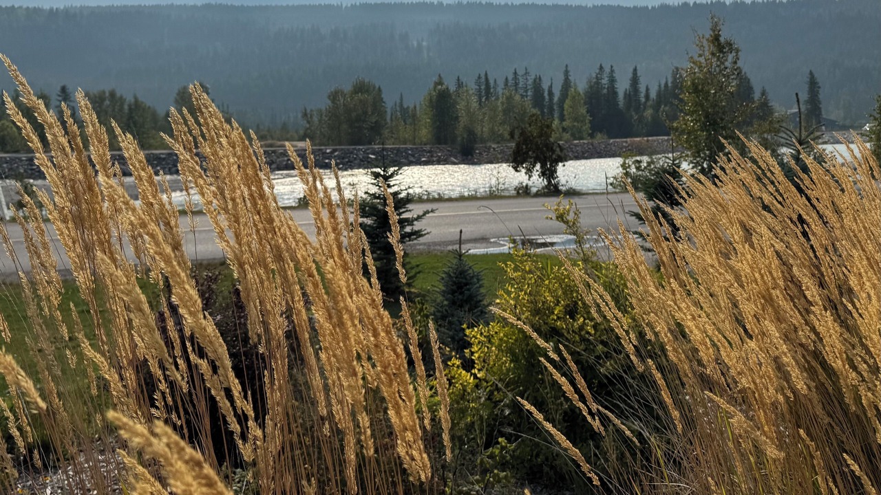 Photo of Outdoor in Golden