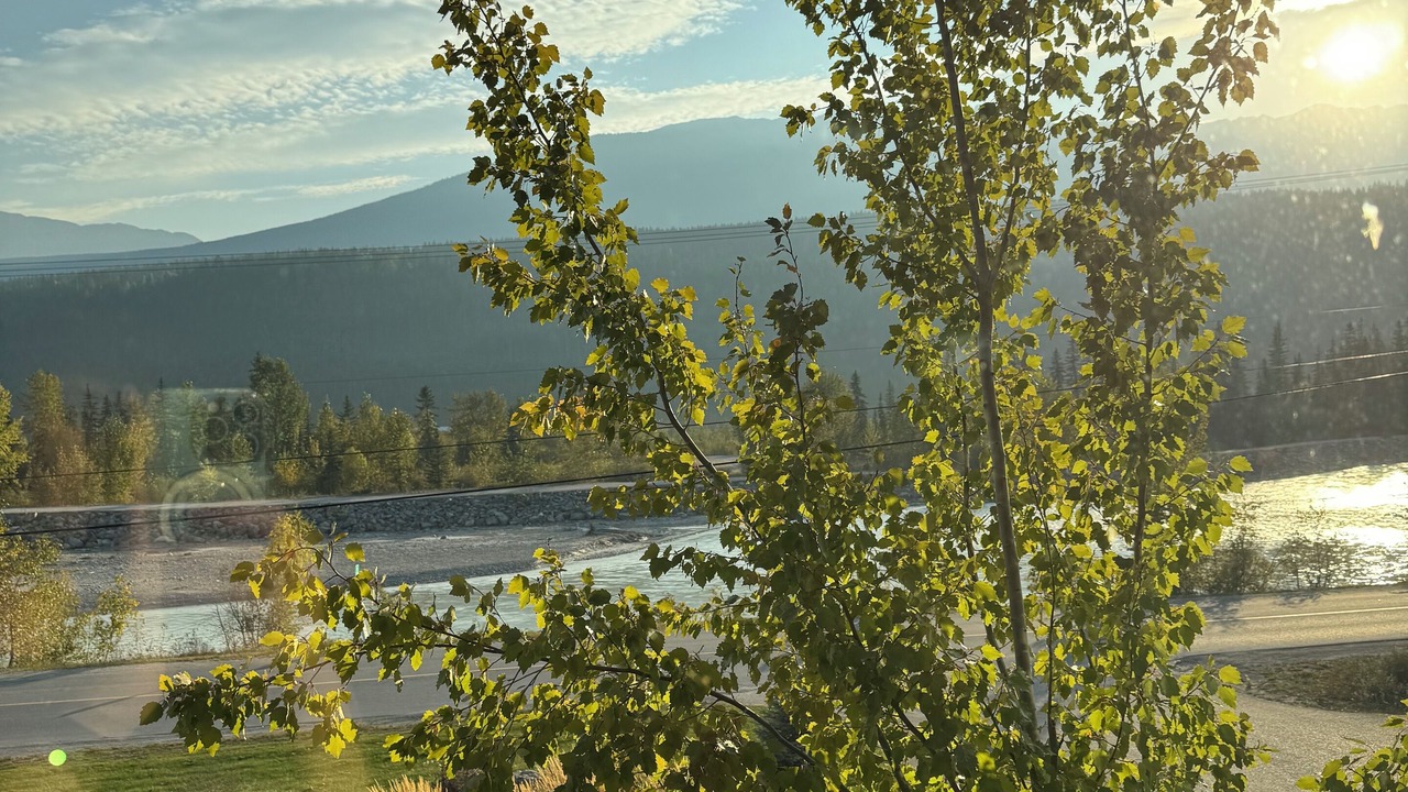 Photo of Outdoor in Golden