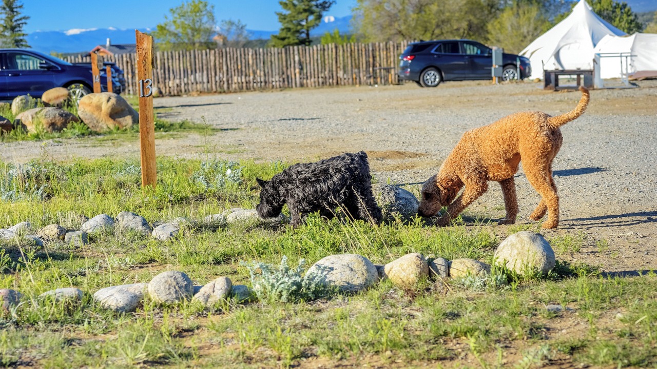 Photo of Outdoor in Buena Vista