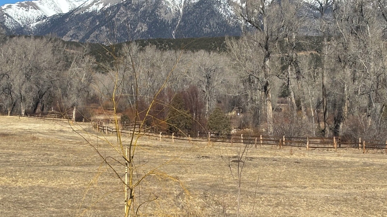 Photo of Others in Salida