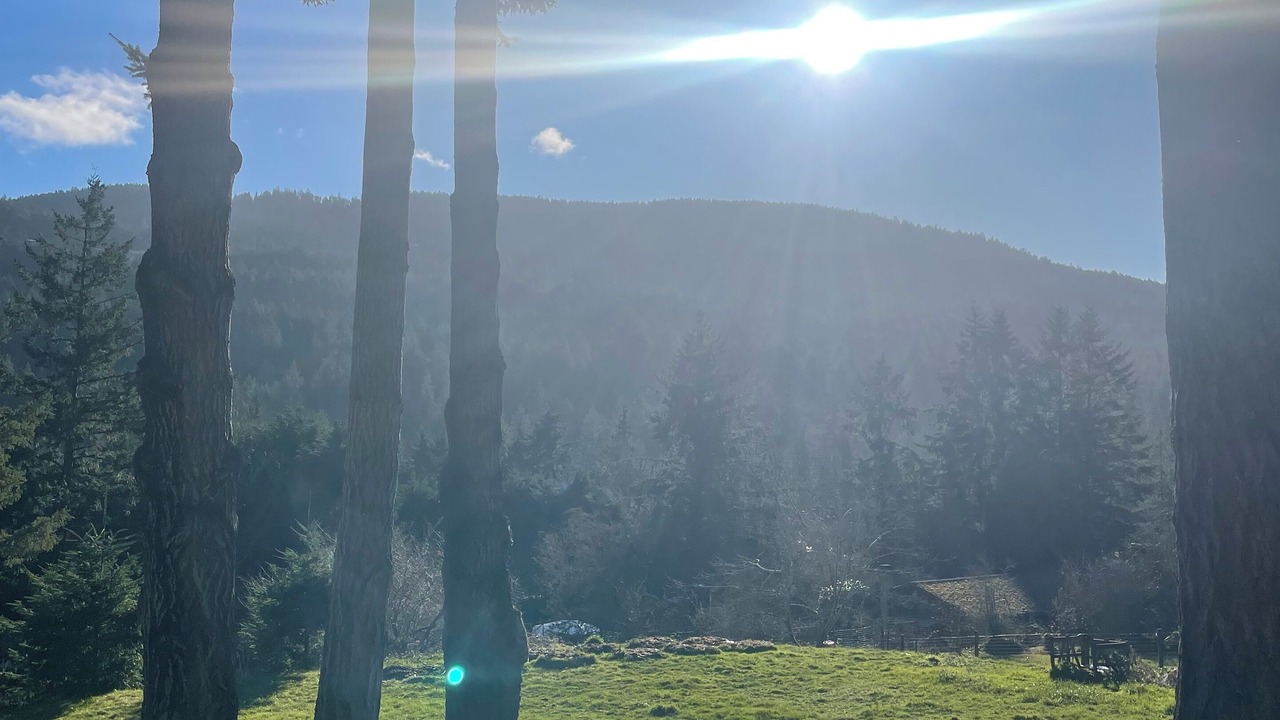 Photo of Others in Salt Spring Island
