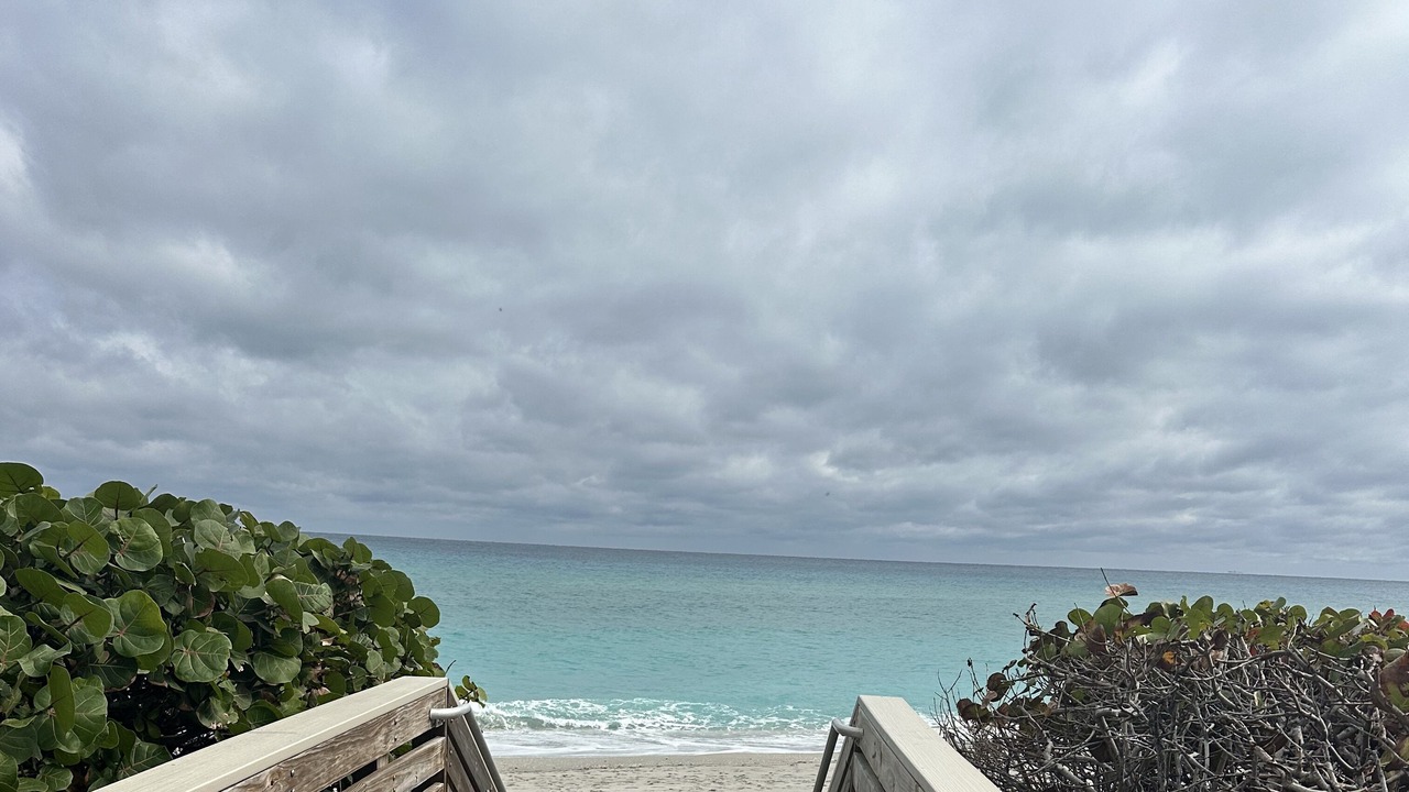 Photo of Others in Juno Beach