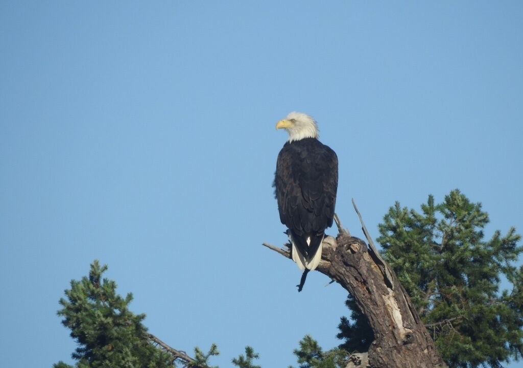 Photo of Others in Galiano