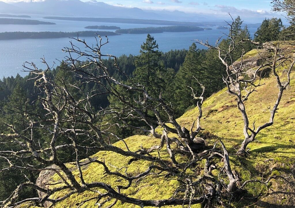 Photo of Others in Galiano