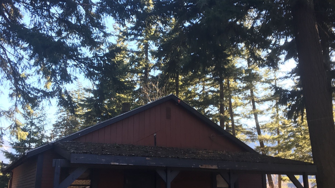 Photo of Outdoor in North Bend