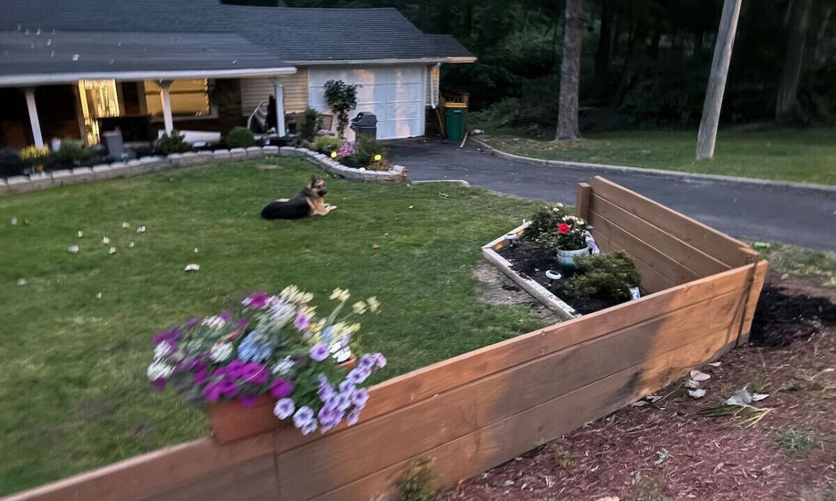 Photo of Outdoor in Oakwood Village