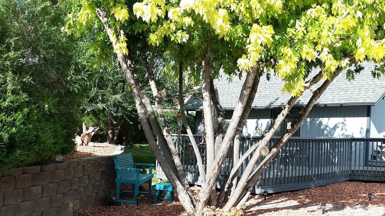 Photo of Outdoor in Rapid City