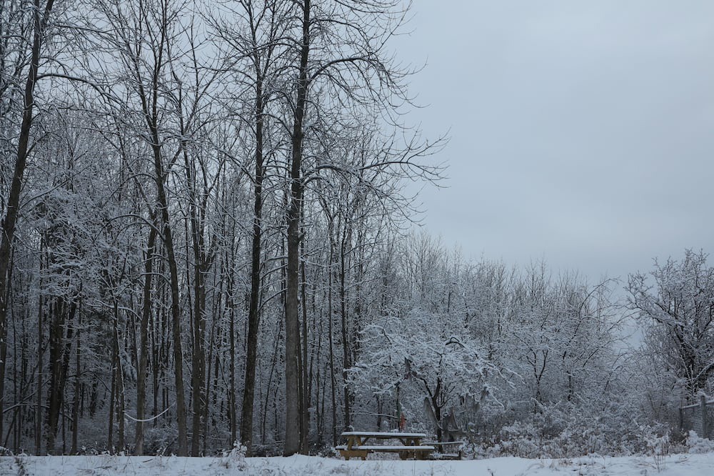 Photo of Others in South Burlington
