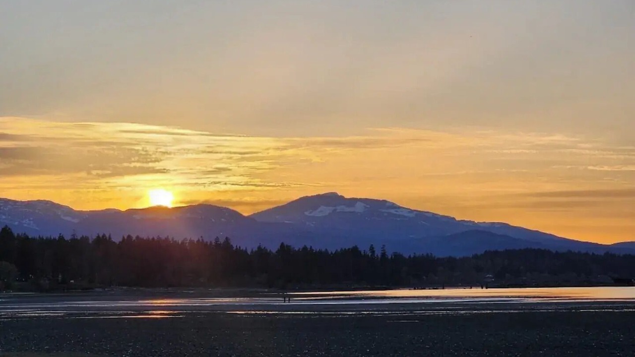 Photo of Others in Courtenay