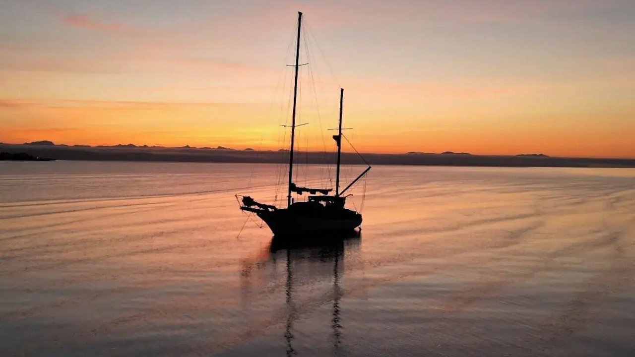 Photo of Others in Courtenay