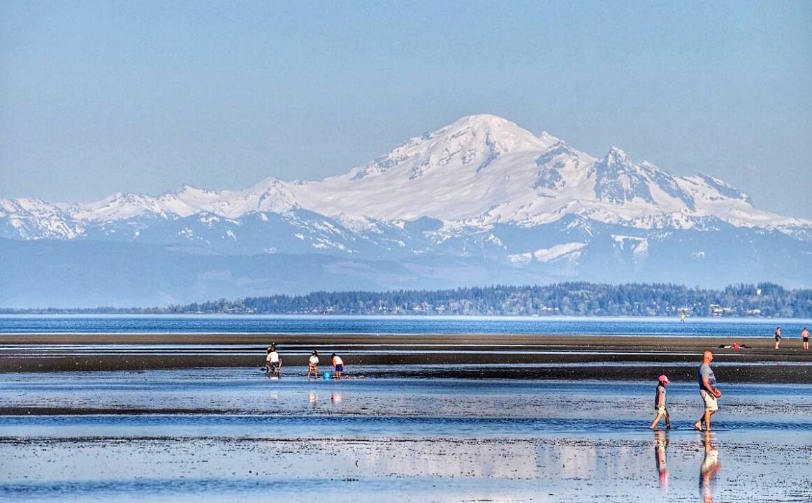 Photo of Others in Boundary Bay