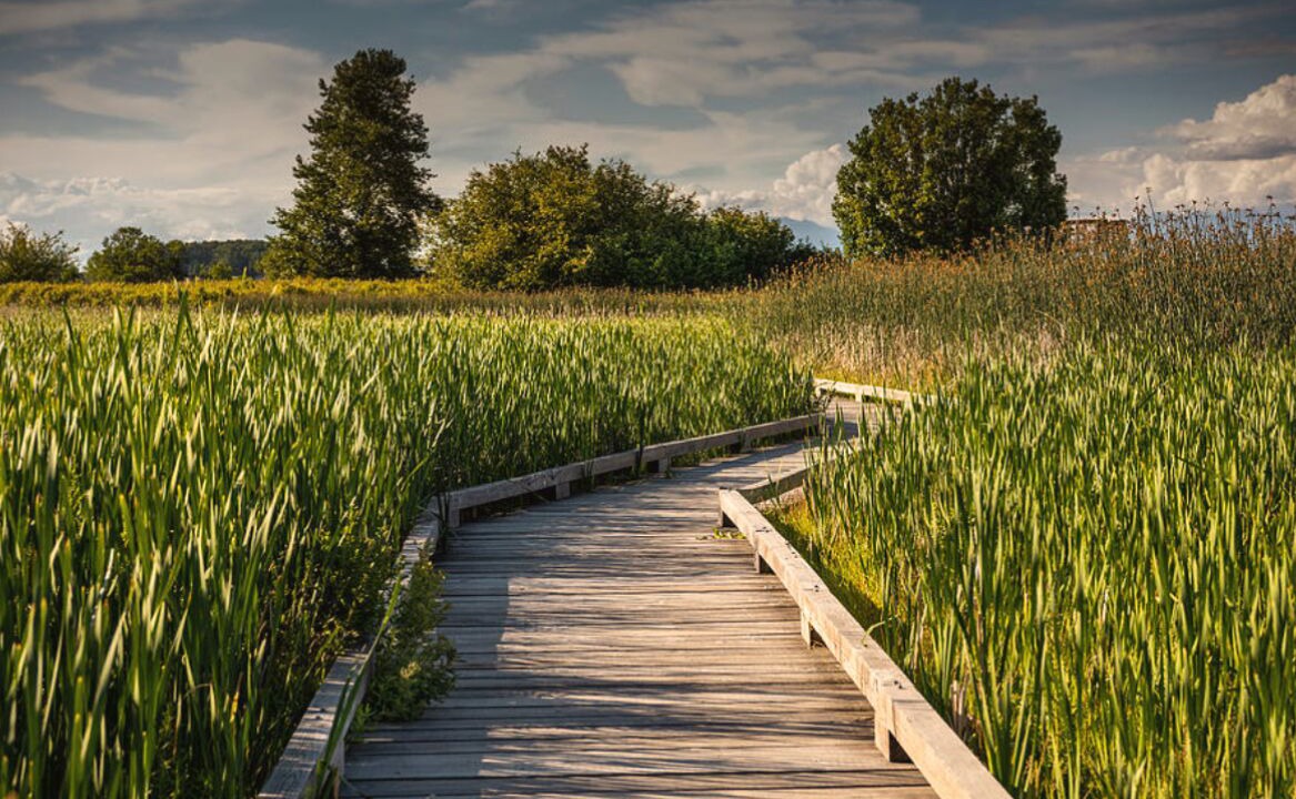 Photo of Outdoor in Boundary Bay