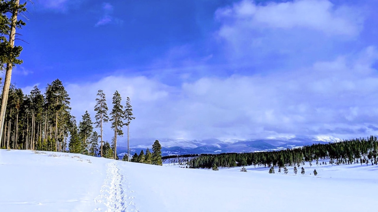 Photo of Others in Winter Park Highlands