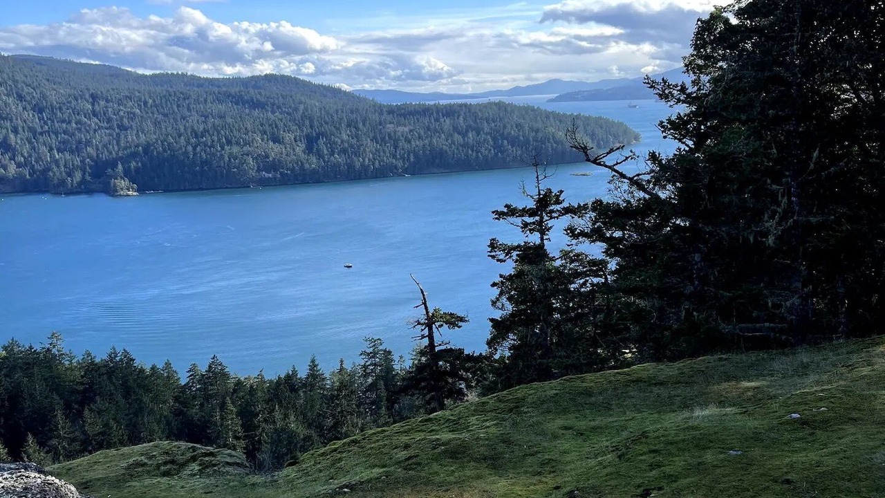 Photo of Others in Cowichan Bay