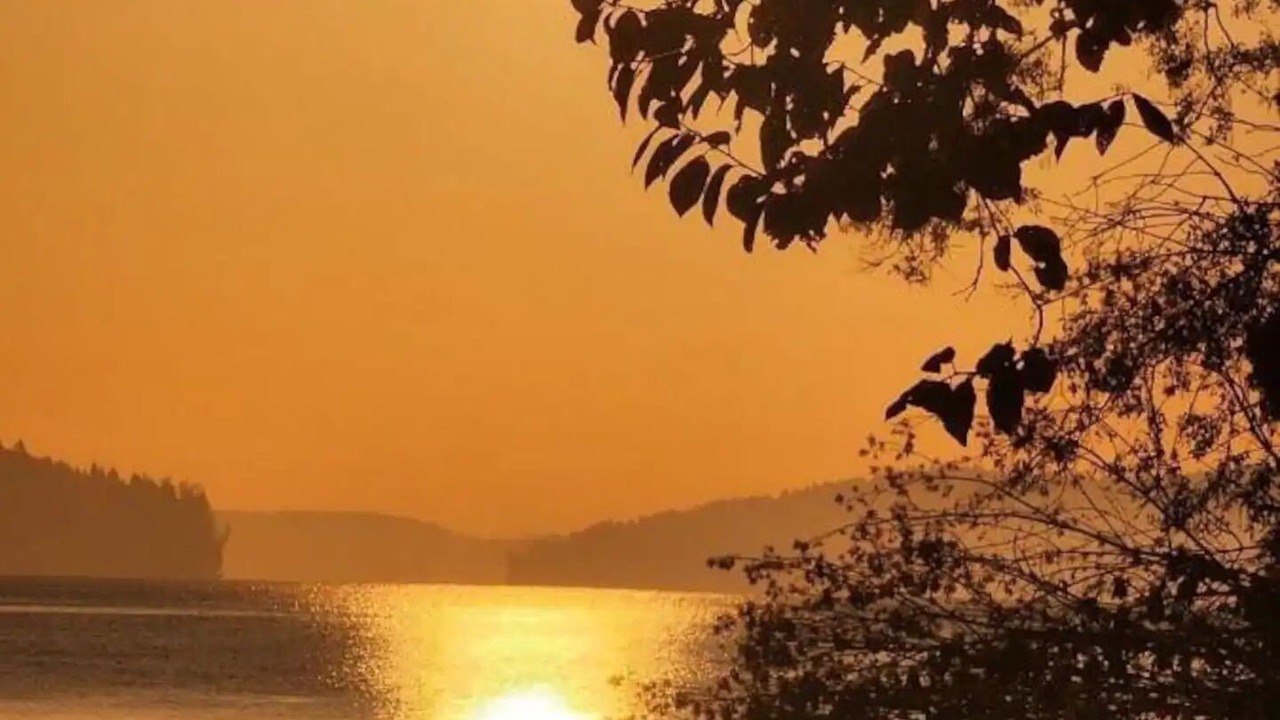 Photo of Others in Cowichan Bay