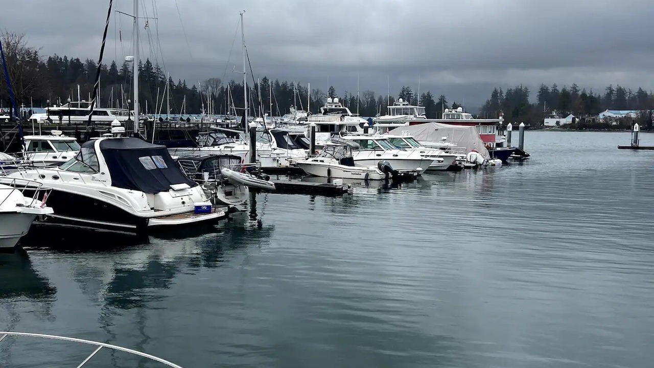 Photo of Others in Cowichan Bay