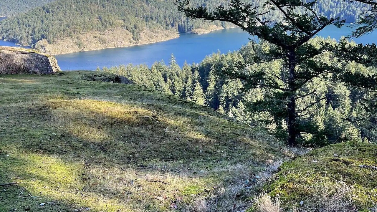 Photo of Others in Cowichan Bay