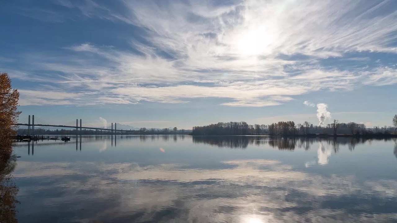 Photo of Others in Pitt Meadows