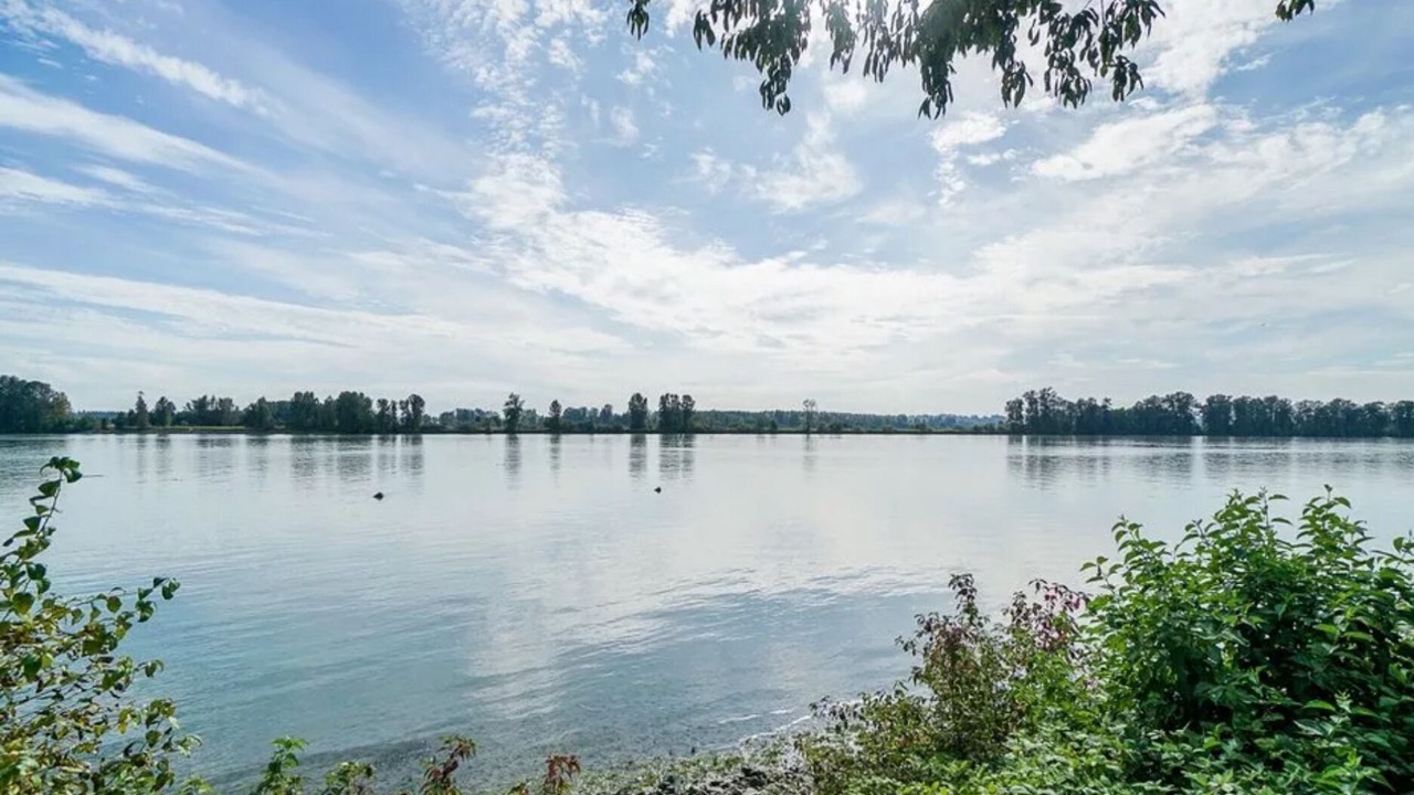 Photo of Others in Pitt Meadows