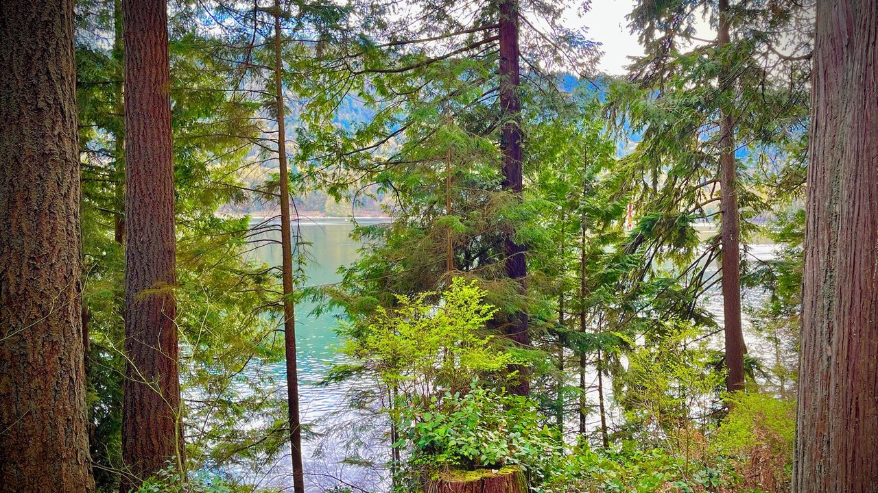 Photo of Outdoor in Port Moody