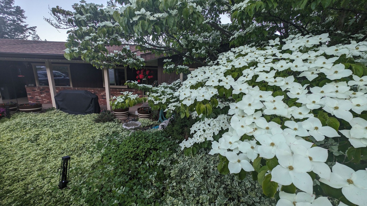 Photo of Outdoor in West Kelowna Estates
