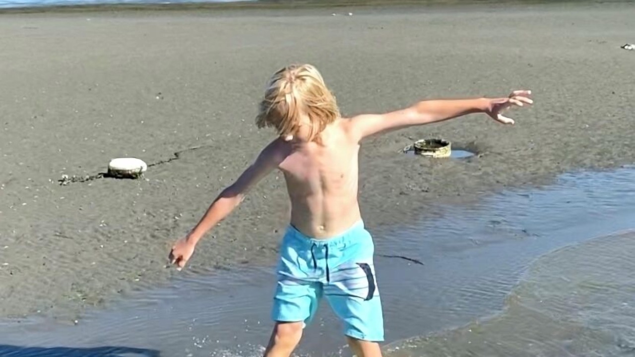 Photo of Others in Boundary Bay