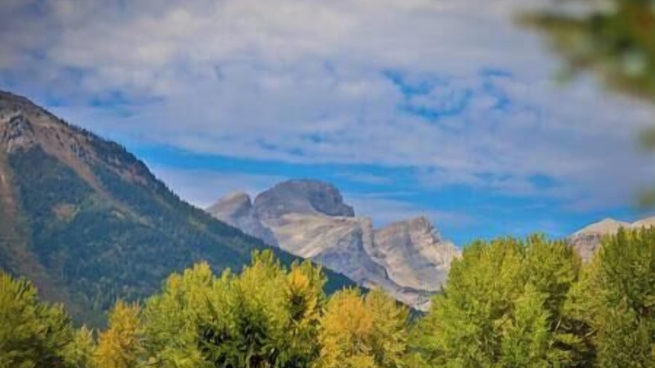 Photo of Others in East Kootenay