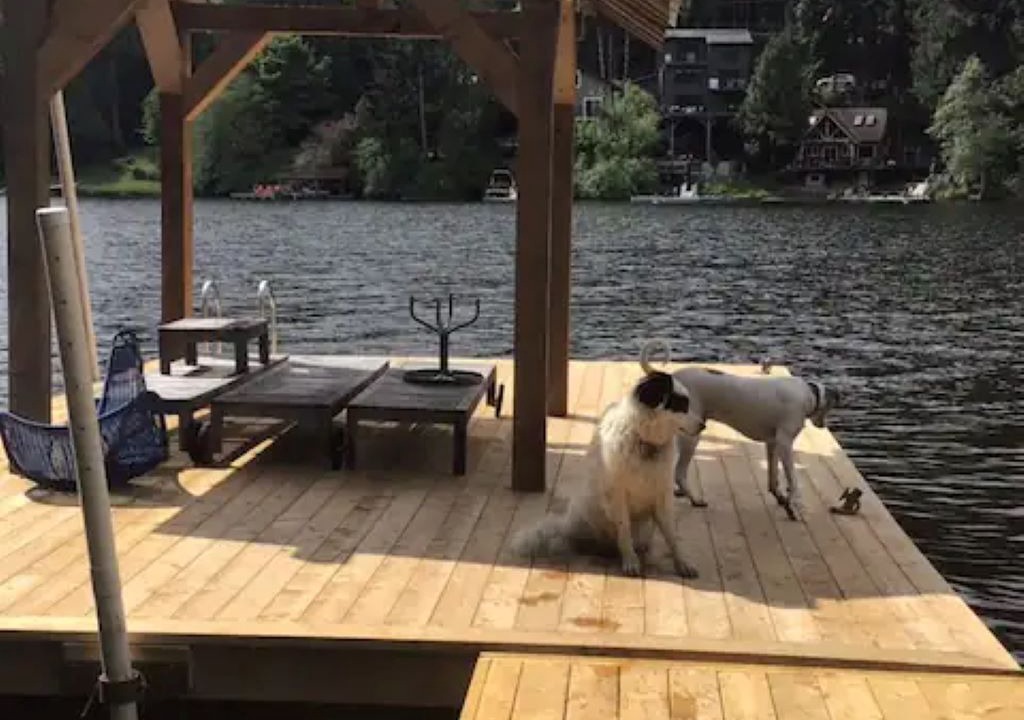 Photo of Outdoor in Shawnigan Lake