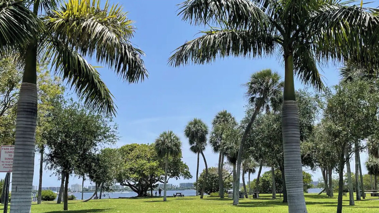 Photo of Others in South Palm Park Neighborhood Association