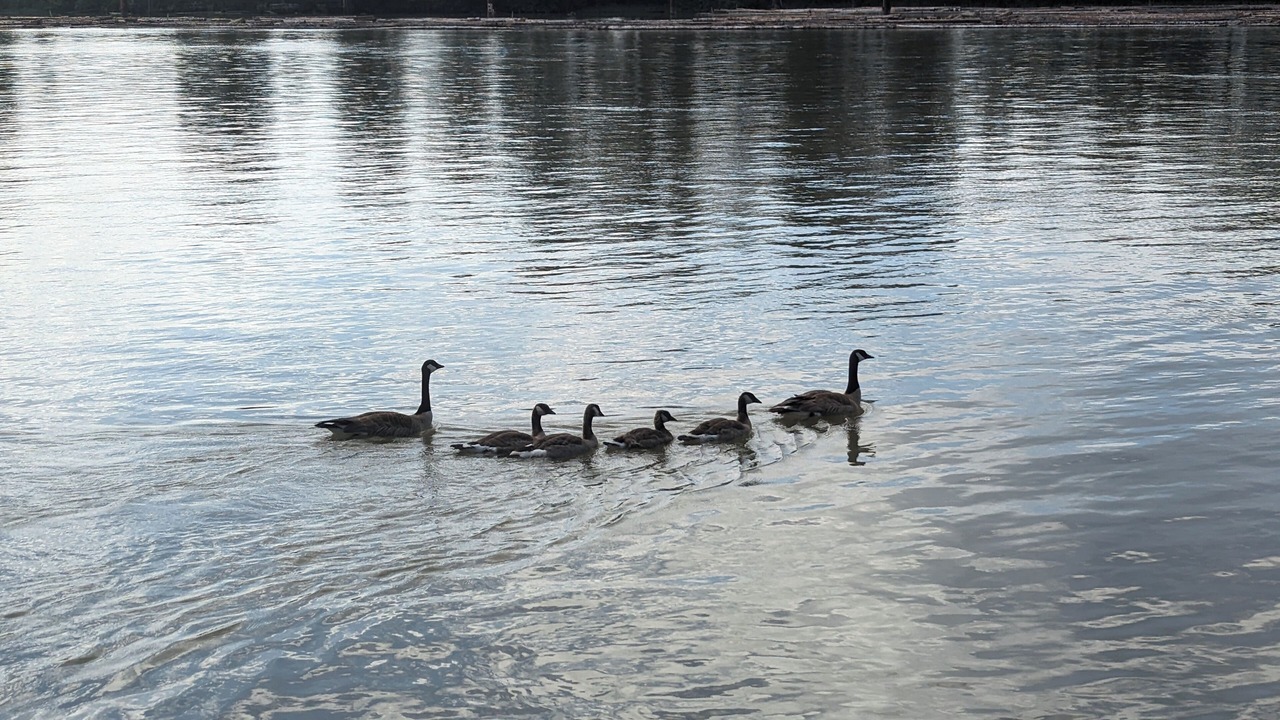 Photo of Others in Queensborough