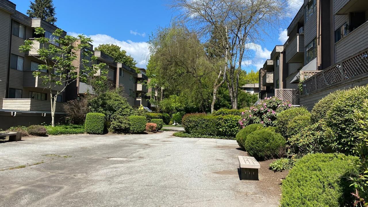 Photo of Outdoor in Port Coquitlam