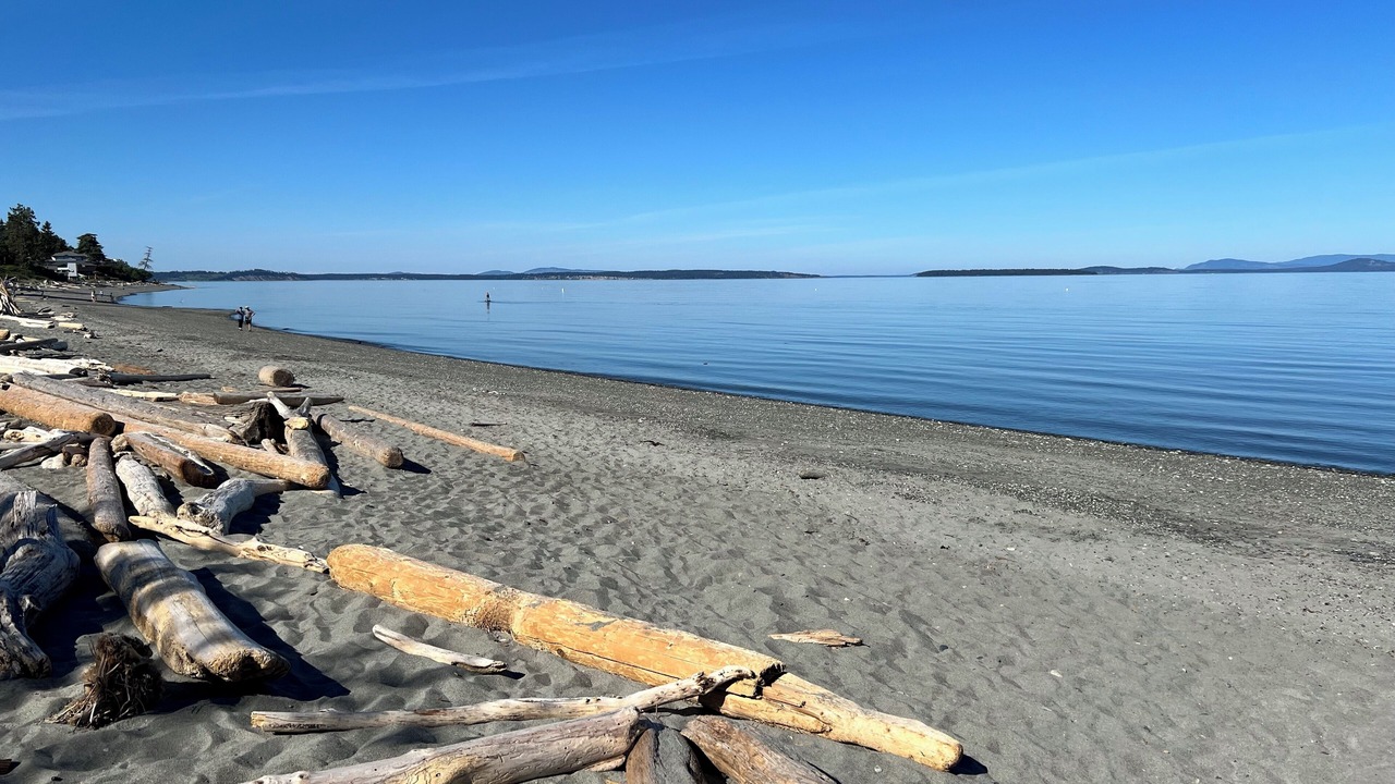 Photo of Others in Cordova Bay