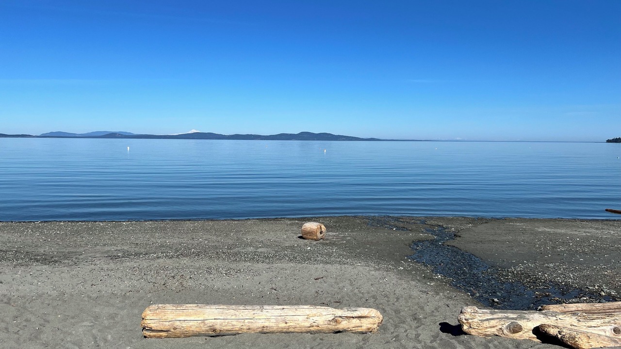 Photo of Others in Cordova Bay