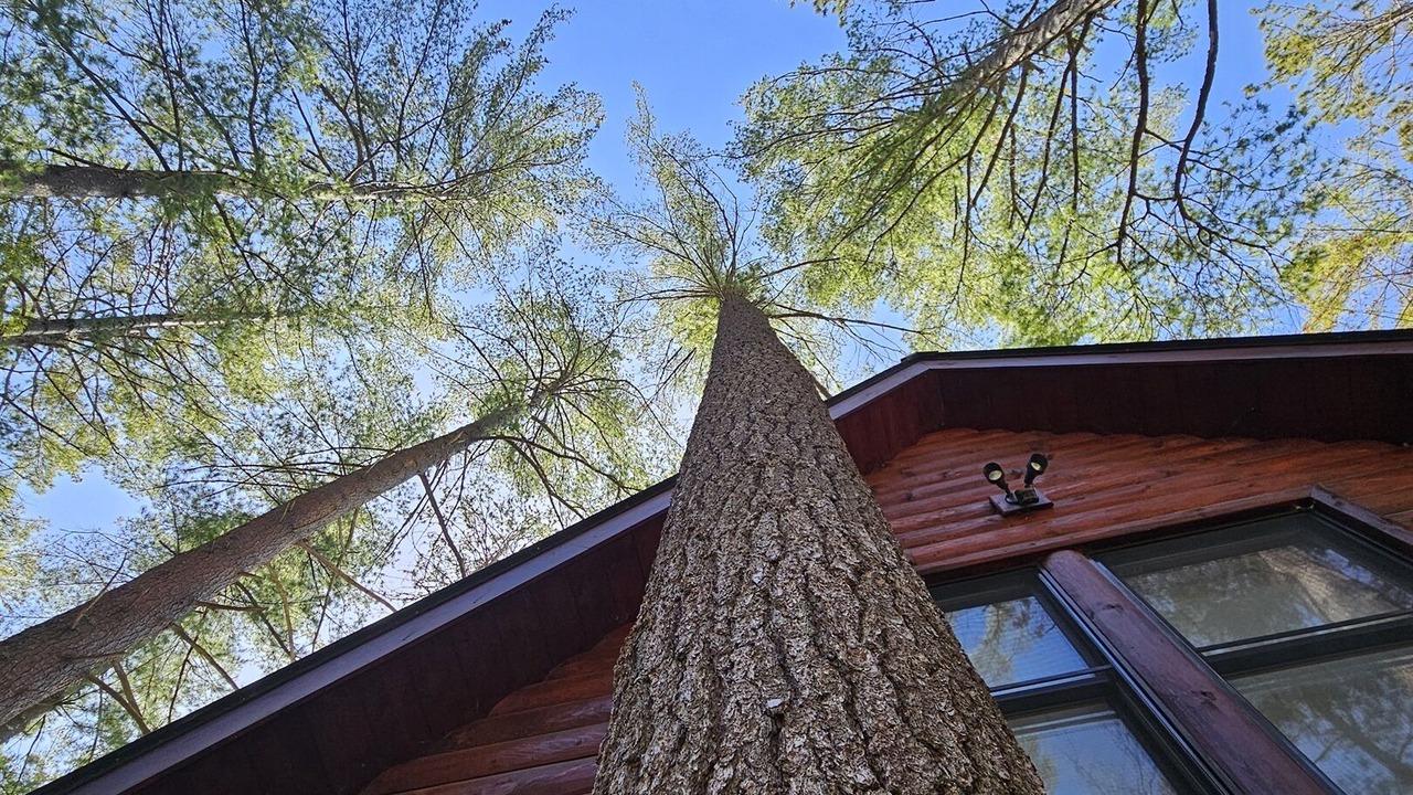 Photo of Outdoor in Schroon Lake