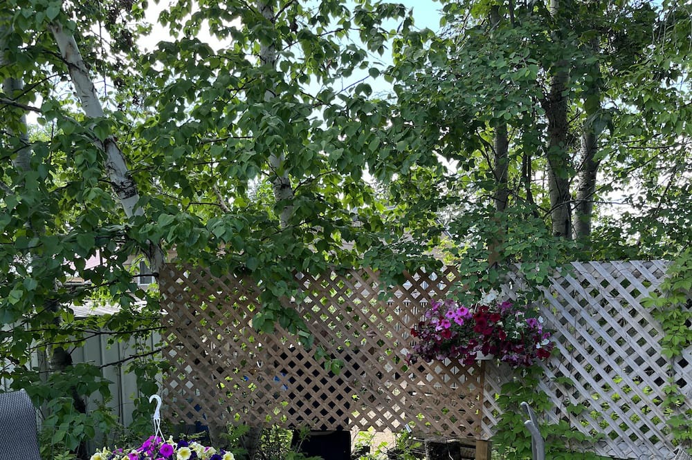 Photo of Patio Balcony in Christopher Lake