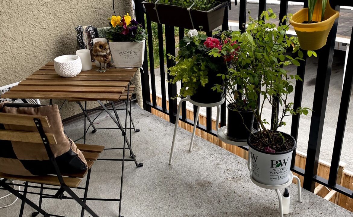 Photo of Outdoor in Lower Lonsdale